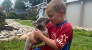 A child playing with a puppy in the garden