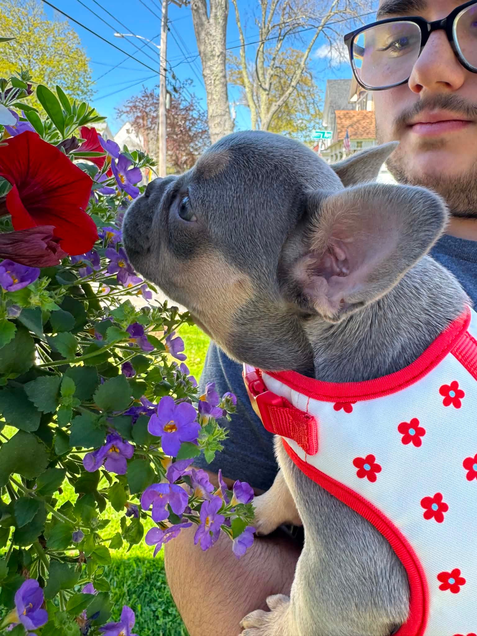 One of the family holding a puppy among the flowers